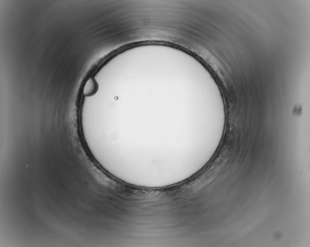 X0000103301072200809191848