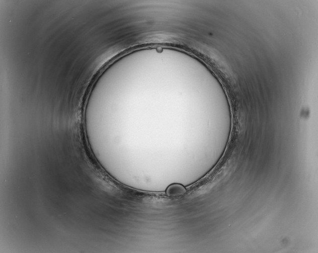 X0000103301073200809191848