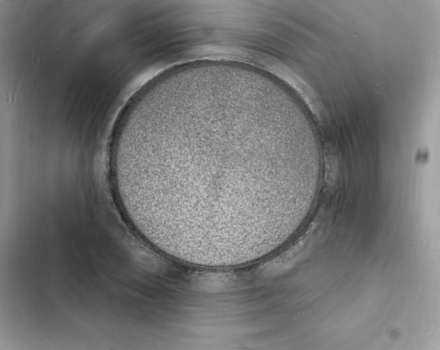 X0000103301074200809191848