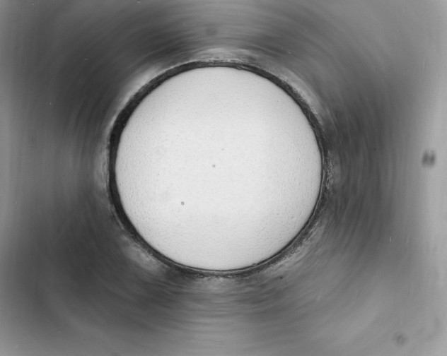 X0000103301075200809191848