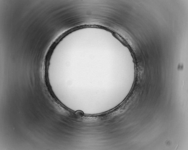 X0000103301076200809191848