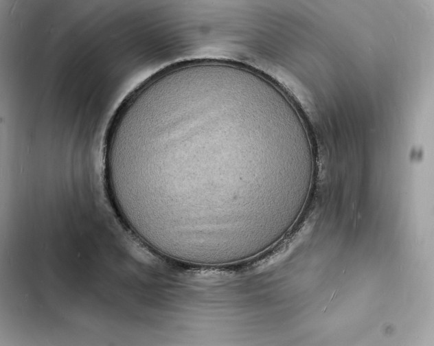 X0000103301077200809191848