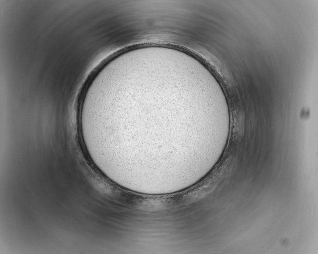 X0000103301078200809191848