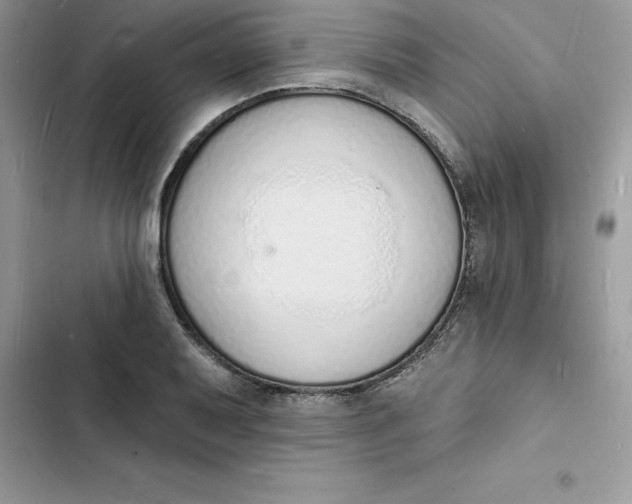 X0000103301079200809191848