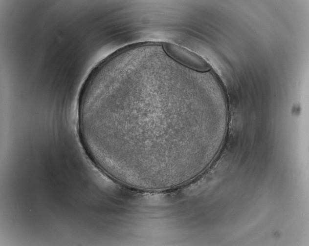 X0000103301080200809191848