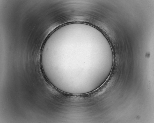 X0000103301081200809191848