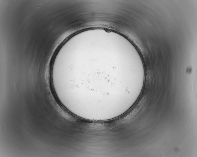 X0000103301082200809191848