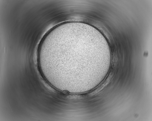 X0000103301083200809191848