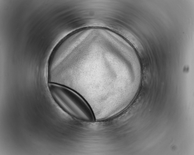 X0000103301084200809191848