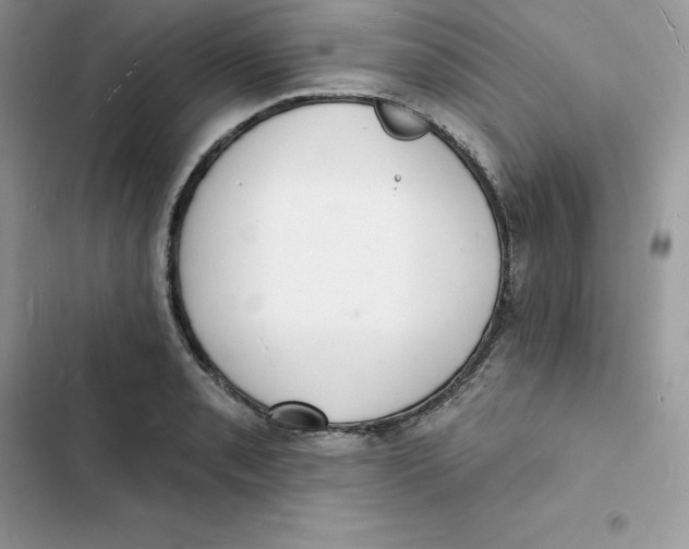 X0000103301085200809191848