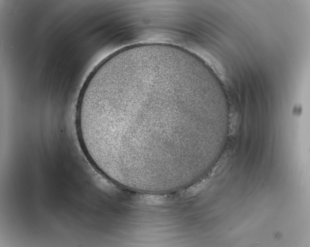 X0000103301086200809191848