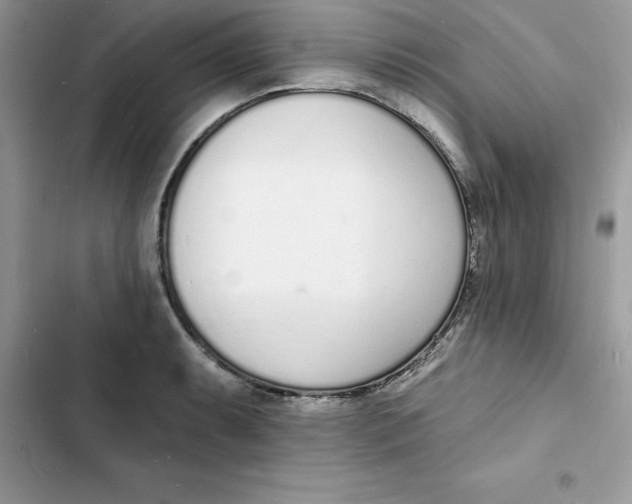 X0000103301087200809191848