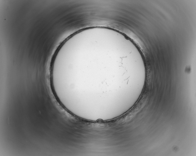 X0000103301088200809191848