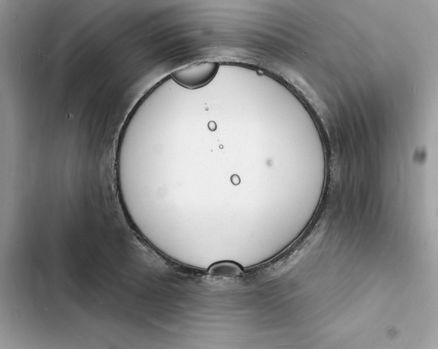 X0000103301089200809191848