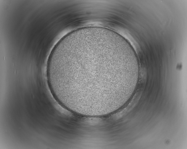 X0000103301090200809191848