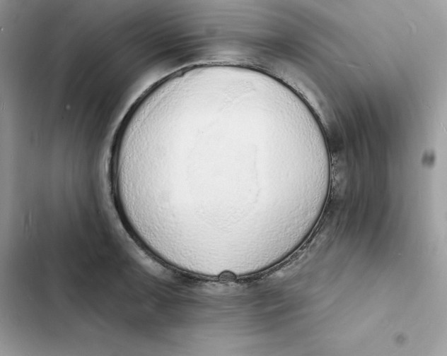 X0000103301091200809191848