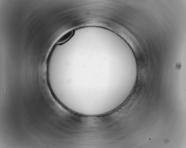 X0000103301092200809191848