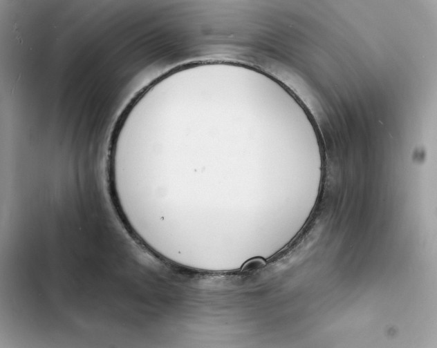 X0000103301093200809191848