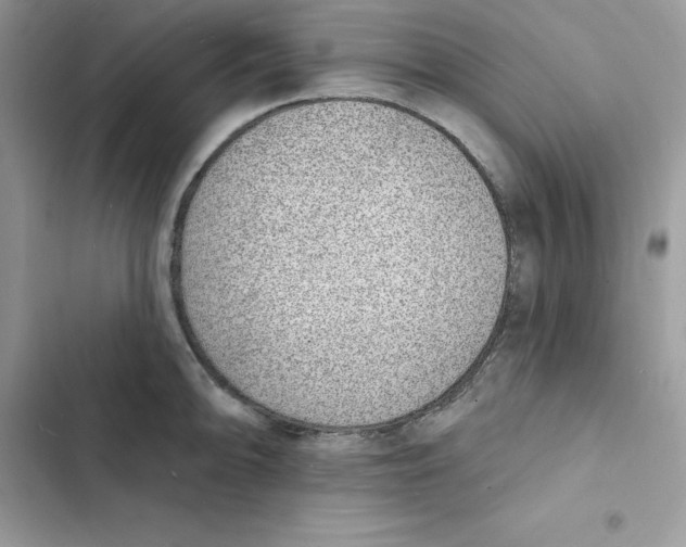 X0000103301094200809191848