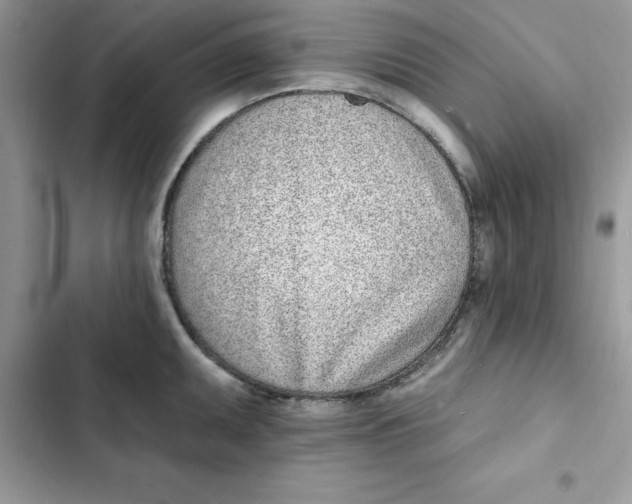 X0000103301095200809191848