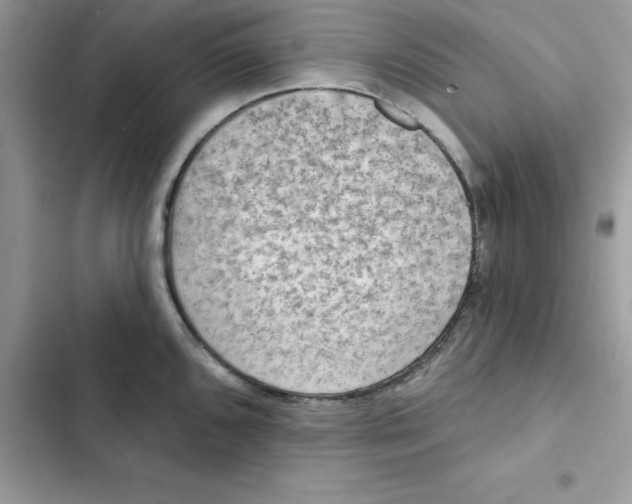 X0000103301096200809191848