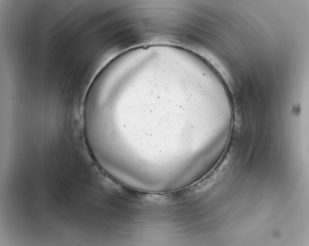 X0000103301097200809191848