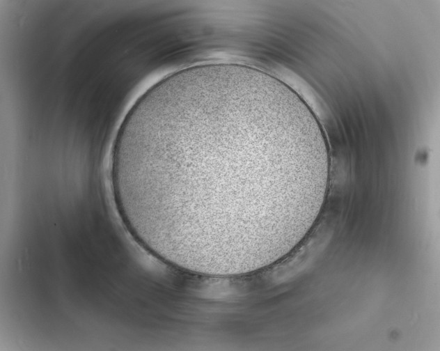 X0000103301098200809191848