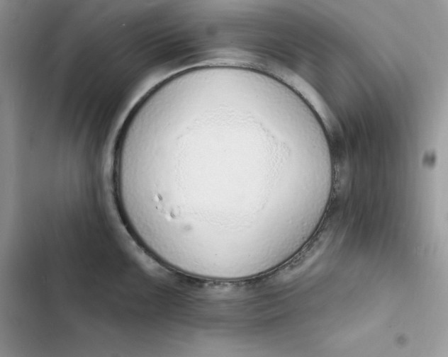 X0000103301099200809191848