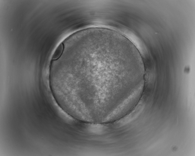 X0000103301100200809191848