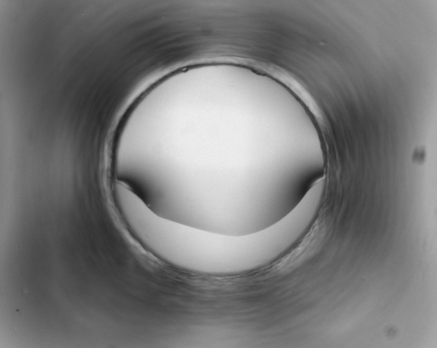 X0000103301101200809191848