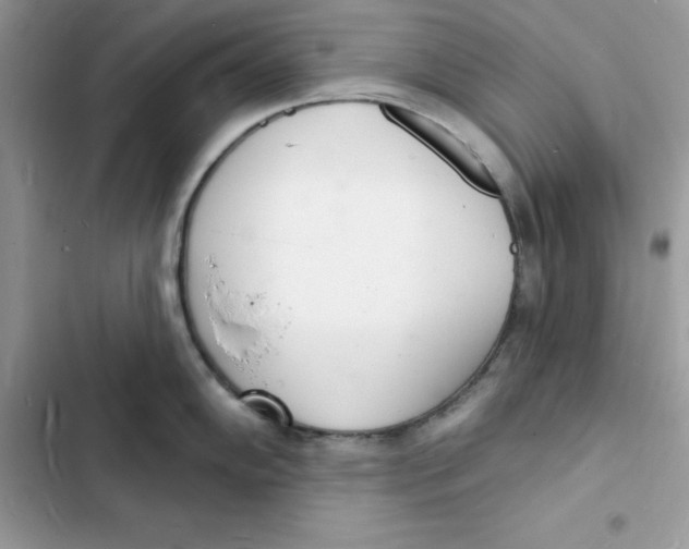 X0000103301102200809191848