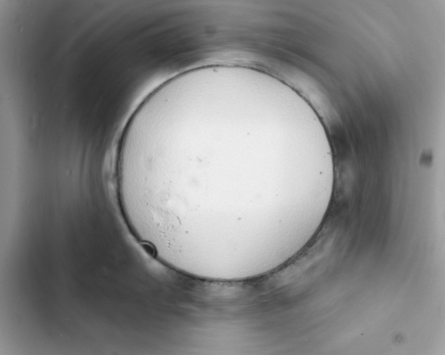 X0000103301103200809191848