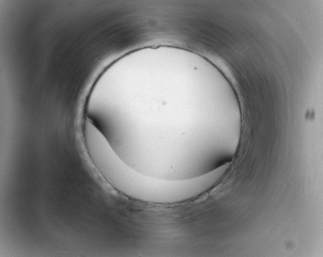 X0000103301104200809191848