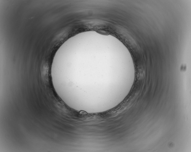 X0000103301108200809191847