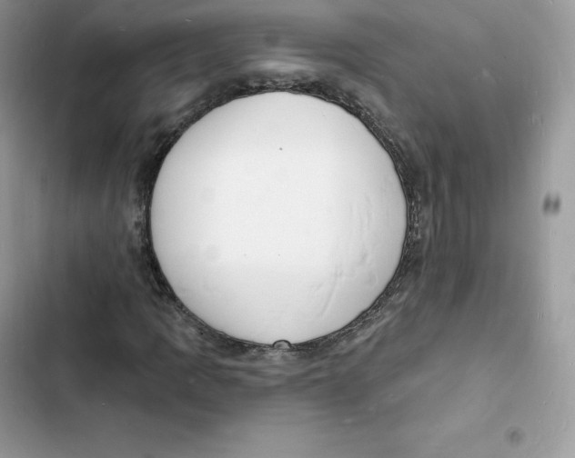 X0000103301109200809191847