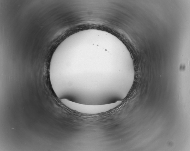 X0000103301110200809191847