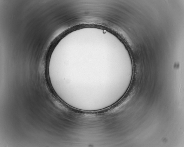 X0000103301114200809191847