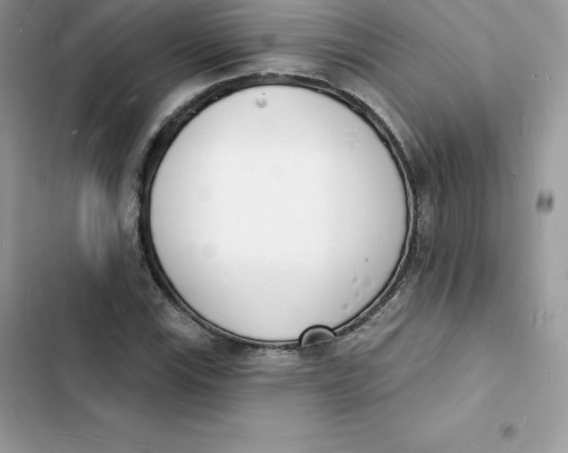 X0000103301115200809191847