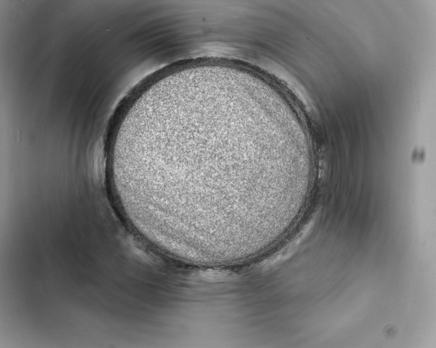 X0000103301117200809191847