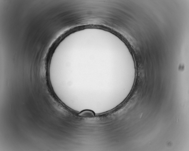 X0000103301118200809191847