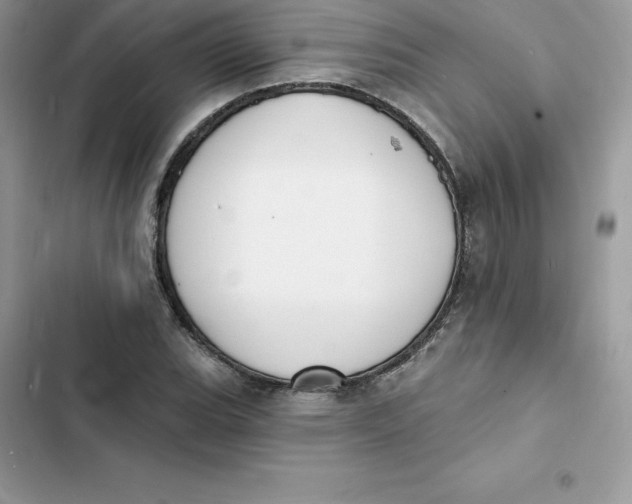 X0000103301119200809191847