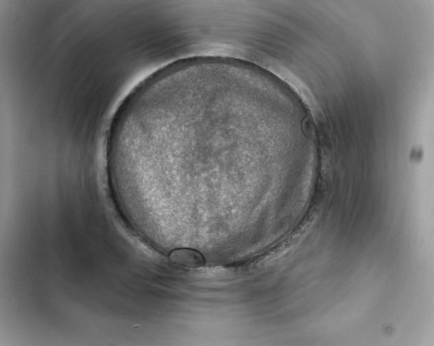 X0000103301120200809191847