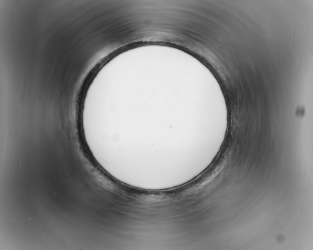 X0000103301122200809191847