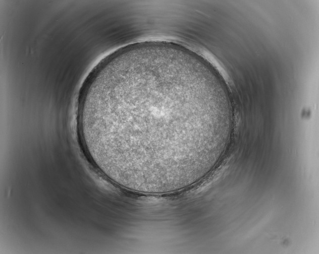 X0000103301124200809191847