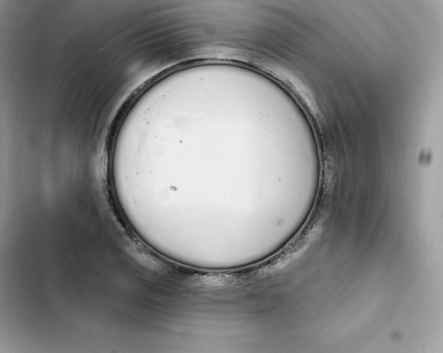 X0000103301125200809191847