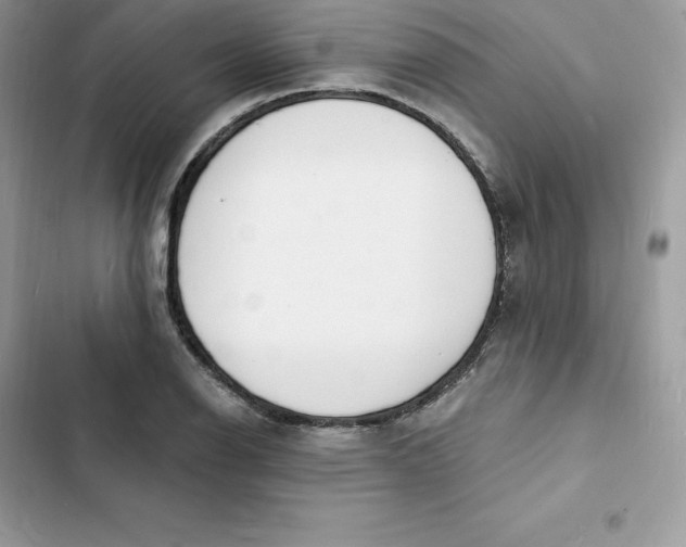 X0000103301126200809191847