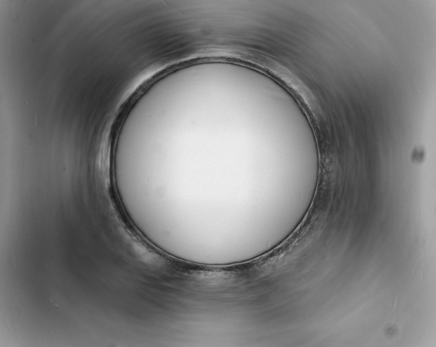 X0000103301127200809191847