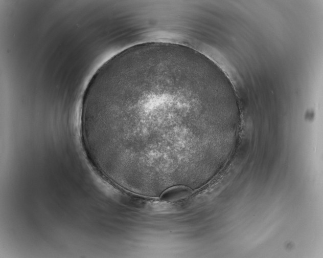 X0000103301128200809191847