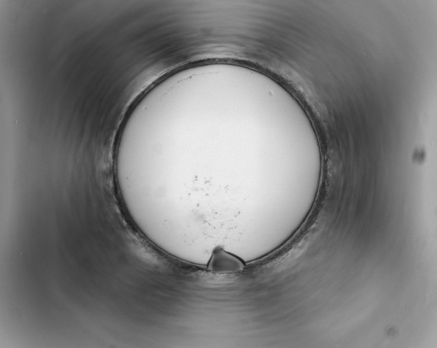 X0000103301129200809191847