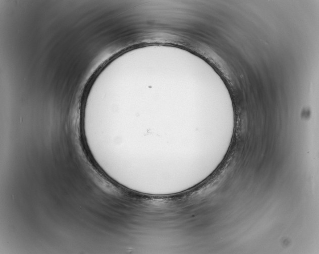 X0000103301130200809191847